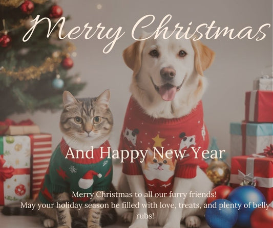 A cute dog and cat wearing Christmas sweaters, sitting next to a Christmas tree surrounded by festive toys and pet treats.