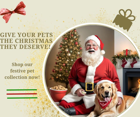 Santa holding a festive dog sweater while a golden retriever wears a holiday bandana by the tree