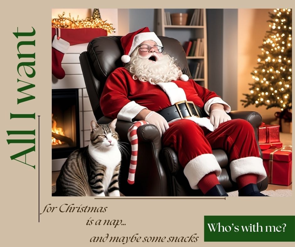 Santa napping on a recliner with a cat on his lap in a cozy living room