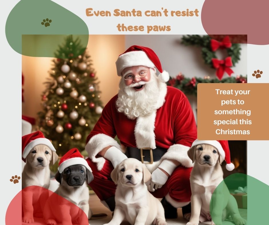 Santa Claus playing with puppies wearing Christmas hats in a festive room