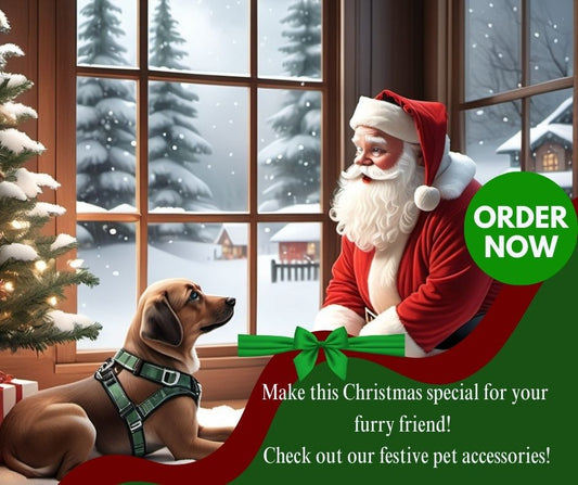 Santa holding a festive leash and dog harness while a puppy plays under the Christmas tree with snow outside